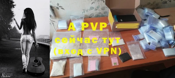 прущие грибы Волосово