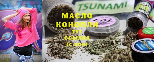 тгк Вяземский