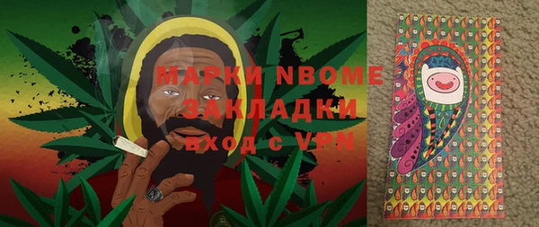 прущие грибы Волосово