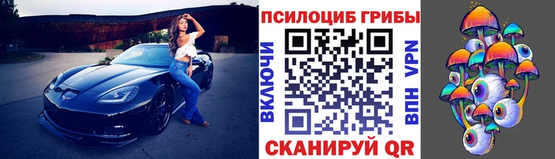 Галлюциногенные грибы GOLDEN TEACHER  Петровск 